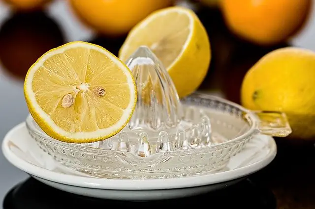 You are currently viewing The Different Types Of Lemon Juicers And Squeezers