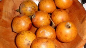 Read more about the article What Is The African Star Apple Fruit