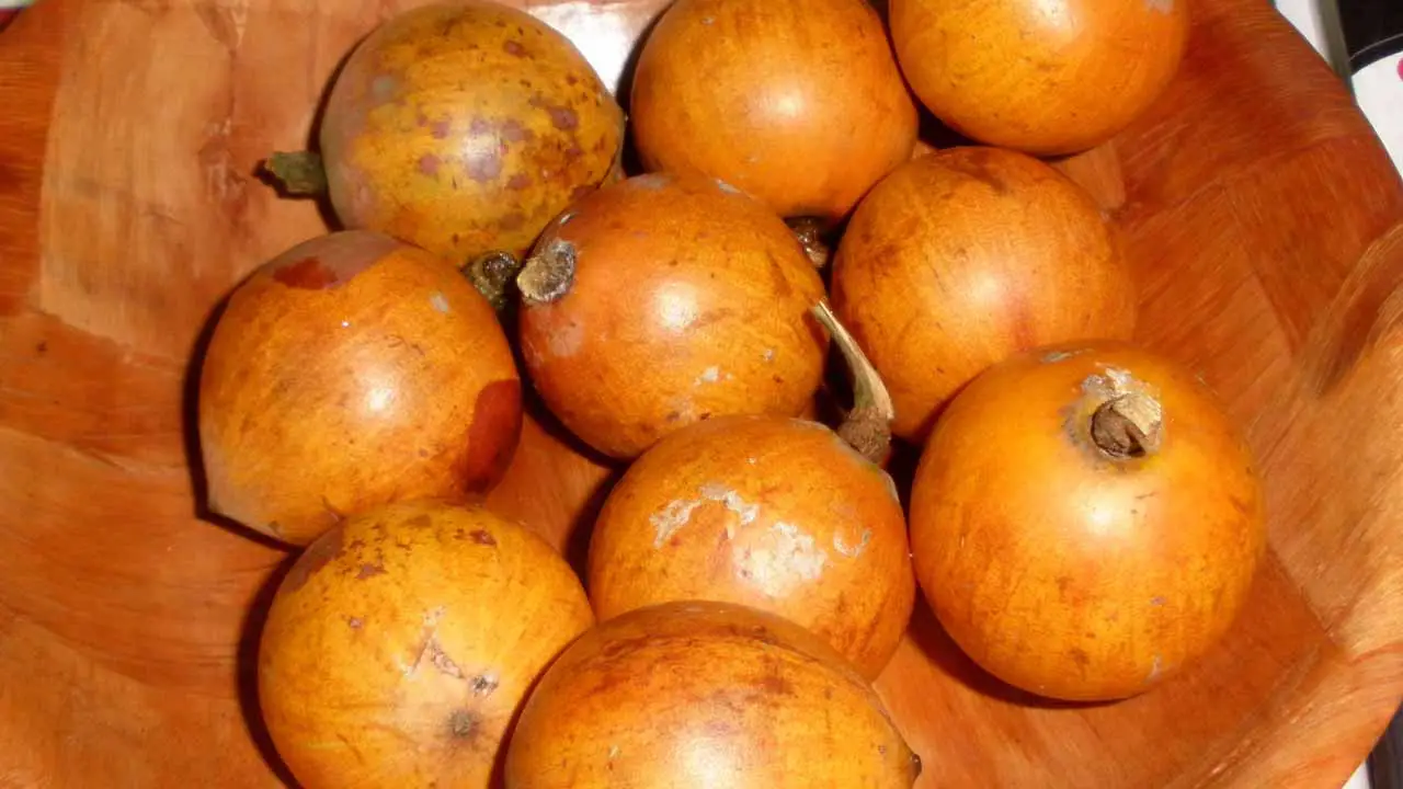 You are currently viewing What Is The African Star Apple Fruit