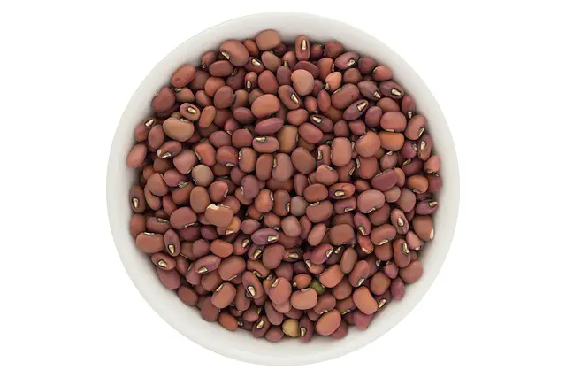 Read more about the article What Are Honey Beans?