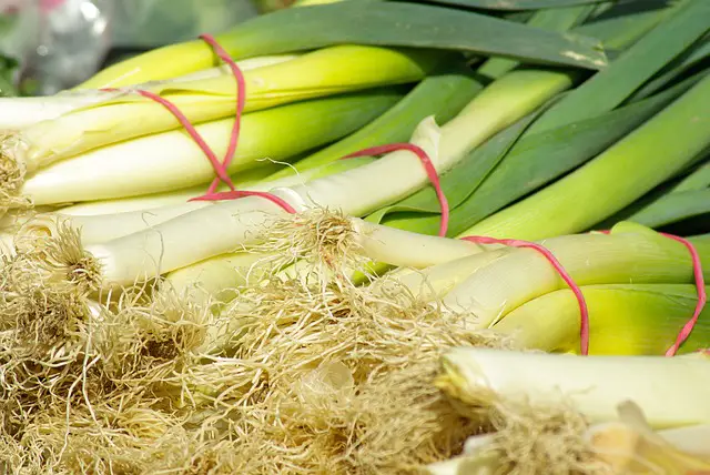 You are currently viewing What Is The Difference Between Leeks and Green Onions