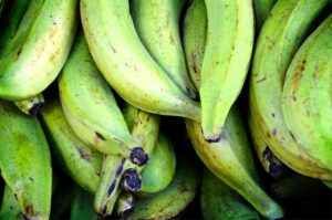 Read more about the article The Difference Between Yellow Plantain and Green Plantain