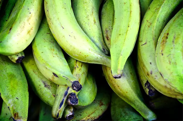 You are currently viewing The Difference Between Yellow Plantain and Green Plantain
