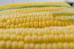 Read more about the article Corn Syrup Vs. Corn Oil: What’s The Difference?