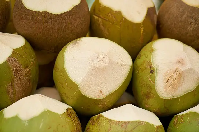 You are currently viewing Brown Coconuts Vs. Green Coconuts: What’s The Difference?