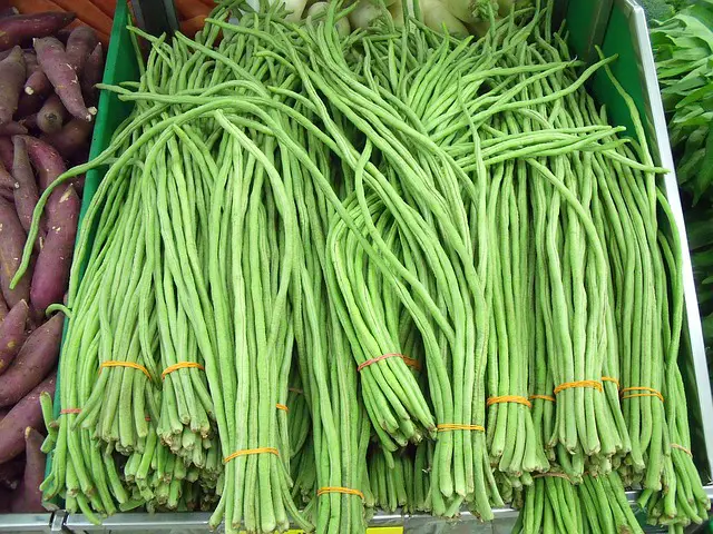 You are currently viewing Yard Long Beans Vs. Green Beans