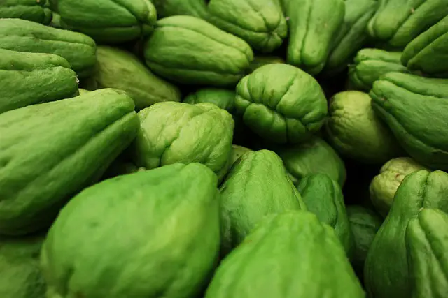 You are currently viewing Is Chayote A Fruit Or A Vegetable?