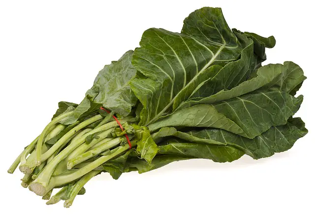 You are currently viewing Difference Between Tree Collards And Collard Greens