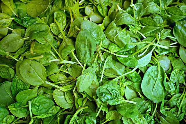 You are currently viewing Spinach Vs. Escarole: What’s The Difference?