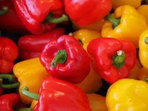 Read more about the article Is Bell Pepper The Same As Pimiento?